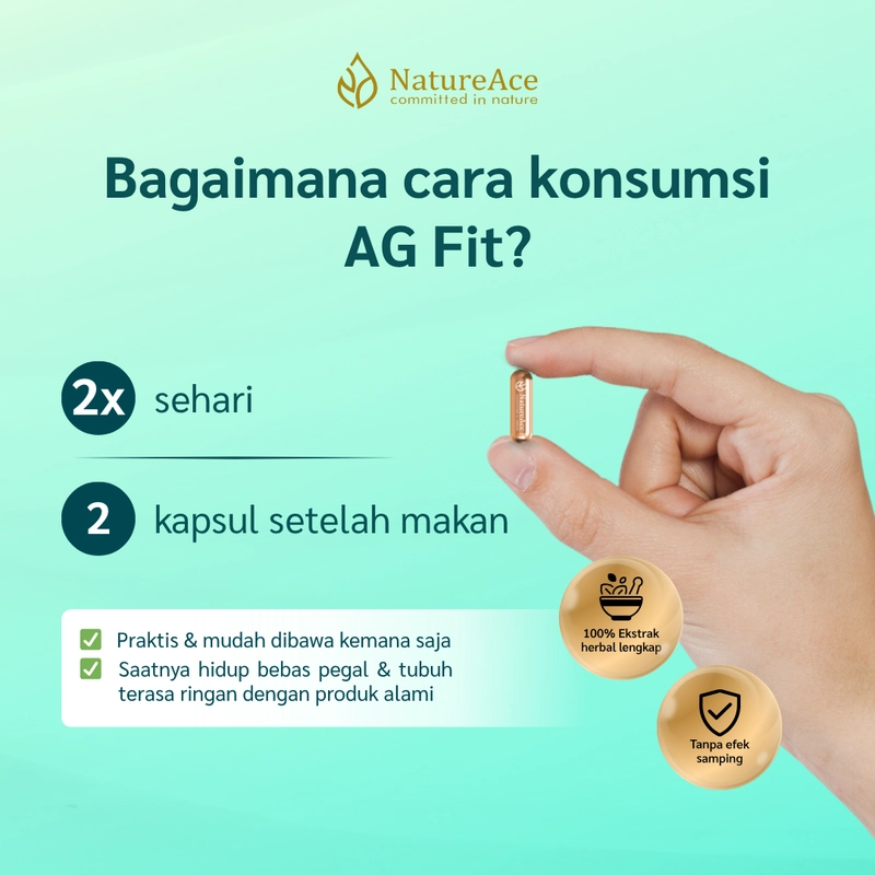 Product image Nature Ace - AG Fit 30 Kapsul