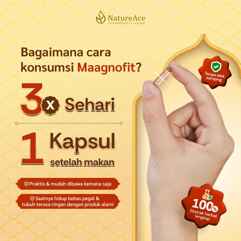 Product image Nature Ace - Maagnofit 20 Kapsul
