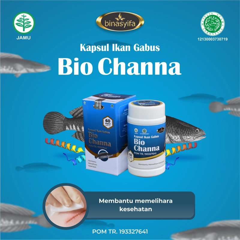 Product image BIOCHANNA Kapsul Albumin Ekstrak Ikan Gabus Obat Luka Pasca Operasi Ekstrak Ikan Gabus/ Kutuk Herbal 60 Kapsul Herbal