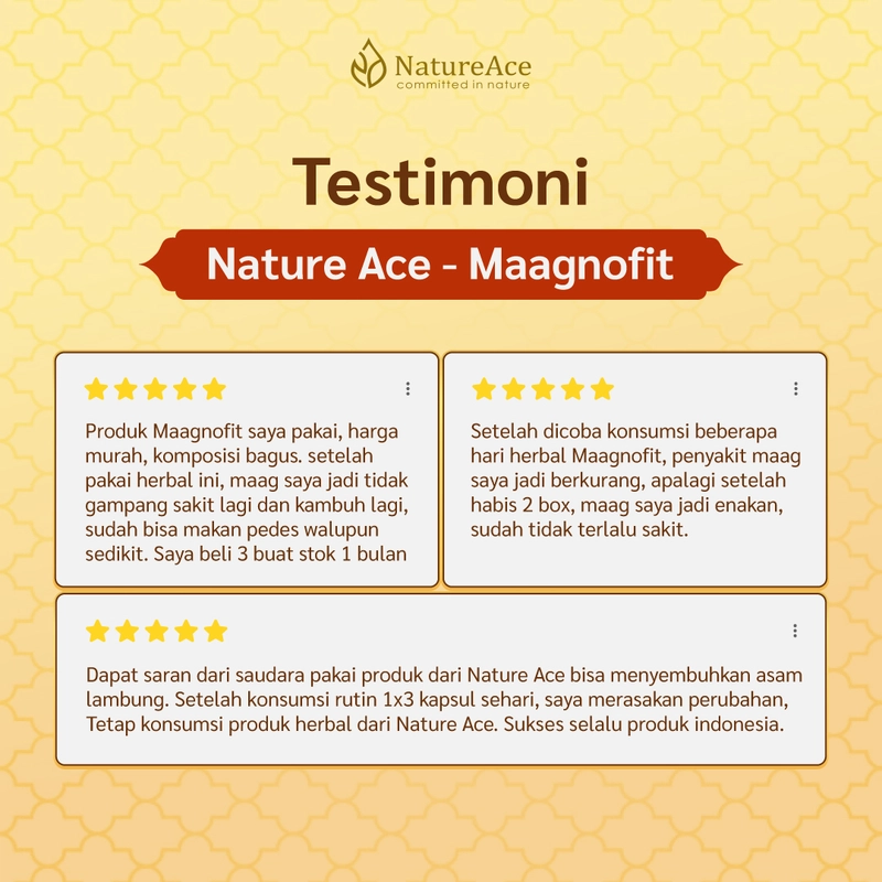 Product image Nature Ace - Maagnofit 20 Kapsul