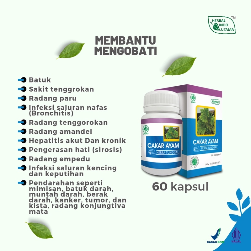 Product image Herbal Indo Utama - Paket Terapi Herbal Mioma Herbal Indo Utama 200 gr Paket Herbal Miom