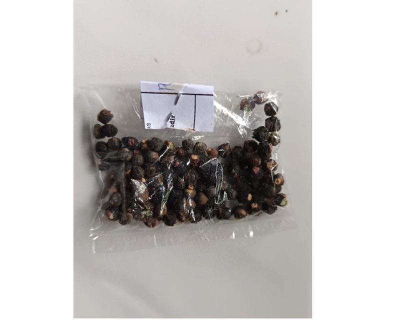 Product image Eleanor Farm Shop - Benih Angkung Kering Isi 100 Butir Benih Biji Buah Angkung 100Gram Isi 100Biji