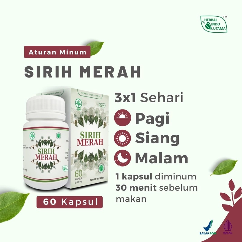 Product image Herbal Indo Utama - Kapsul SIRIH MERAH Obat Radang Sendi Prostat Liver 60 Kapsul 60 Kapsul Kapsul Serbuk