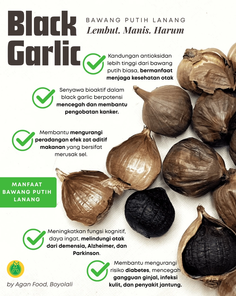 Product image Harumana - Agan Food Black Garlic Bawang Lanang Bawang Tunggal 100gr Antioksidan Sehat 100 gram Bawang Hitam Lanang