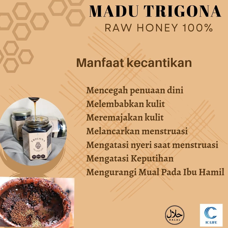 Product image Madu ICOS - Madu Trigona Madu Klanceng 200 Asam Manis