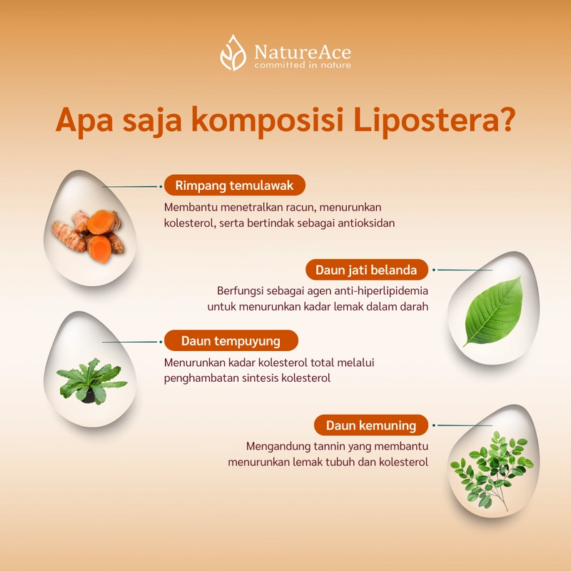 Product image Nature Ace - Lipostera 30 Kapsul