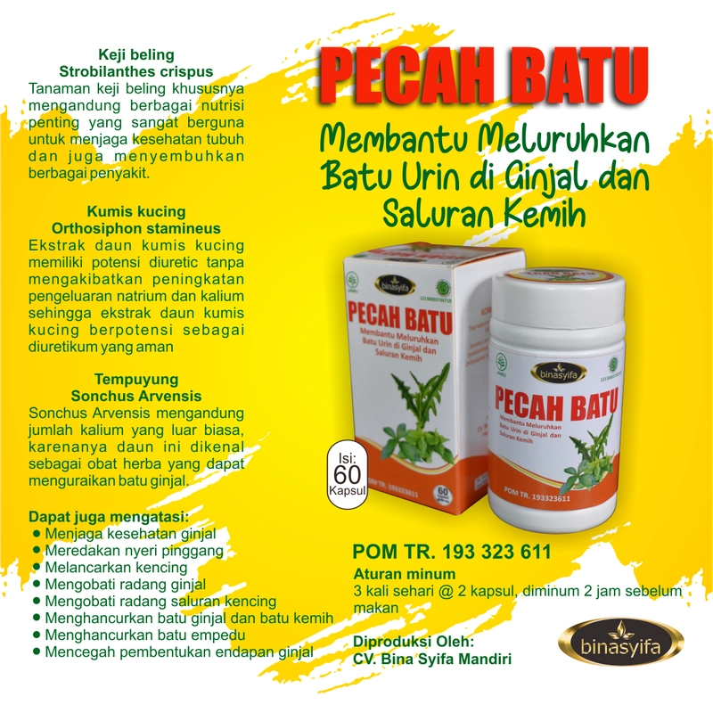 Product image PECAH BATU Obat Batu Ginjal Sakit Pinggang Penghacur Batu Ginjal Infeksi Saluran Kemih Kencing BPOM 60 kapsul Herbal