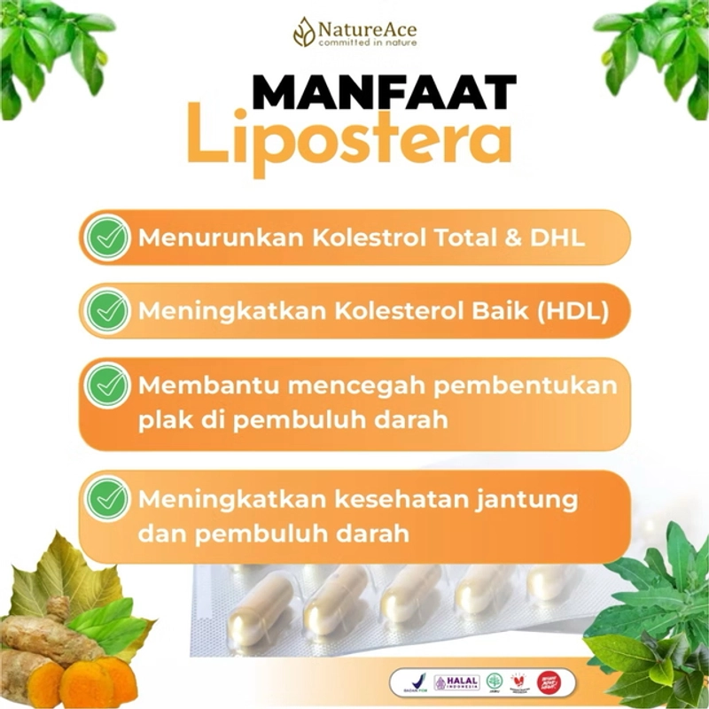 Product image Nature Ace - Lipostera 30 Kapsul