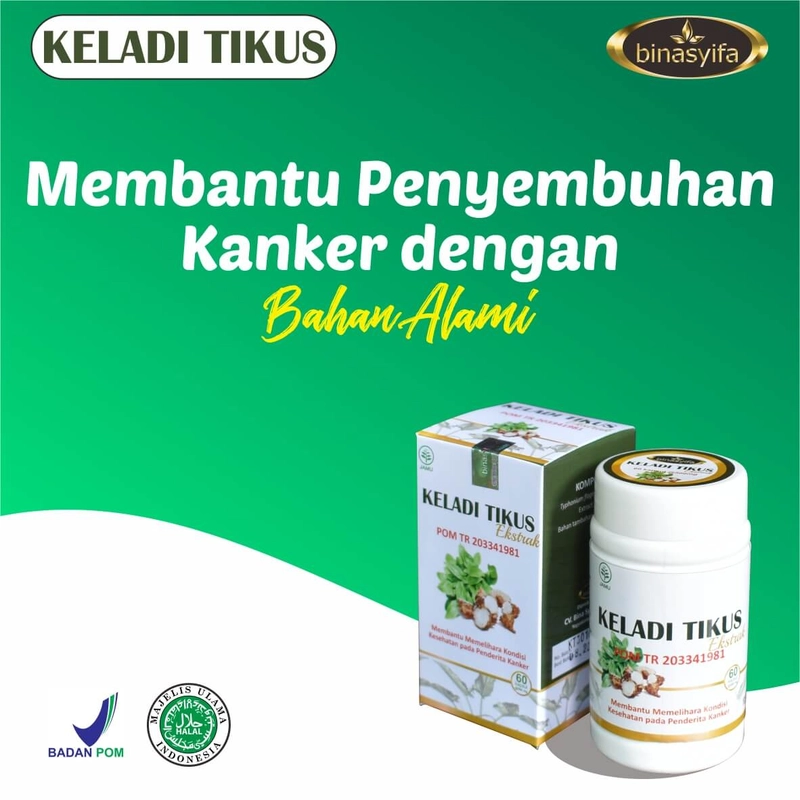 Product image KELADI TIKUS Kapsul Obat Kanker Herbal Benjolan Kista Miom Tiroid Pereda Nyeri Binasyifa Herbal 60 kapsul Herbal