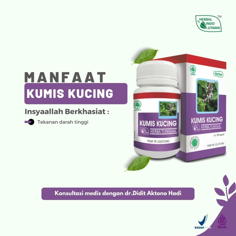 Product image Herbal Indo Utama - Kapsul Kumis Kucing Obat Tekanan Darah Tinggi Hipertensi 60 Kapsul 60 Kapsul Kapsul Serbuk