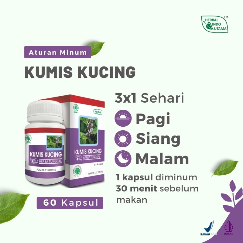 Product image Herbal Indo Utama - Kapsul Kumis Kucing Obat Tekanan Darah Tinggi Hipertensi 60 Kapsul 60 Kapsul Kapsul Serbuk