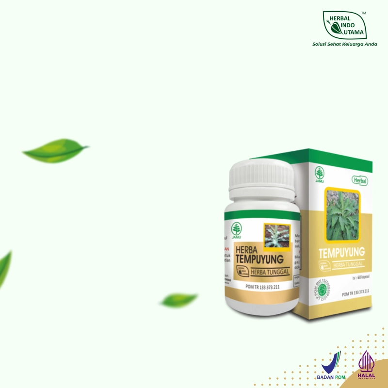 Product image Herbal Indo Utama - Herbal TEMPUYUNG Obat Batu Ginjal Saluran Kencing Herbal Indo Utama isi 60 Kaps 1 Botol 60 Kapsul TEMPUYUNG