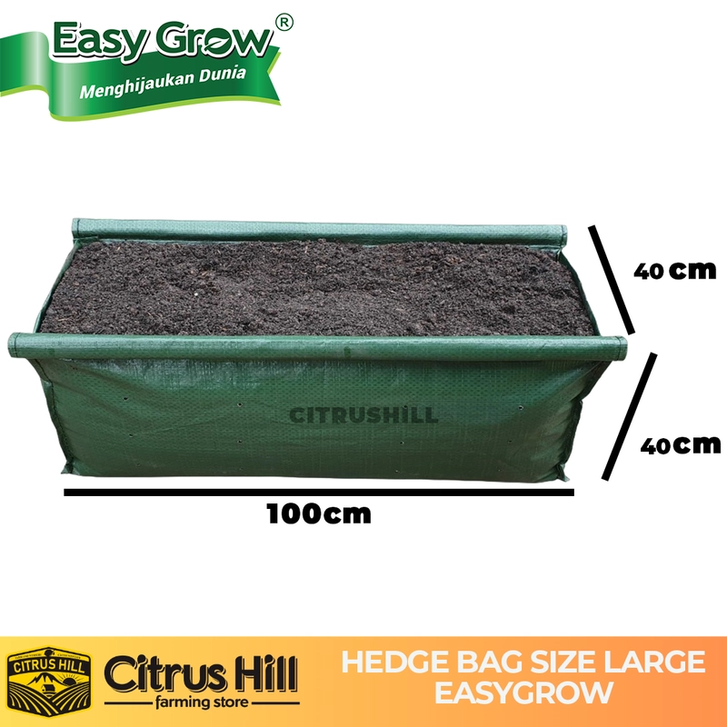 Product image Citrushill ID - Pot Persegi Panjang Hedge Bag XS HIJAU