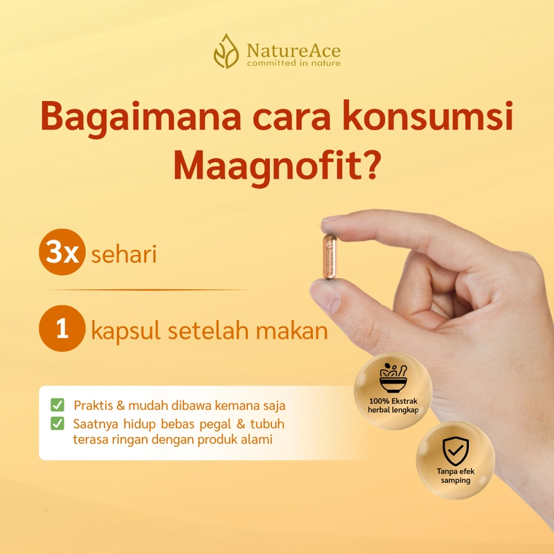 Product image Nature Ace - Maagnofit 20 Kapsul