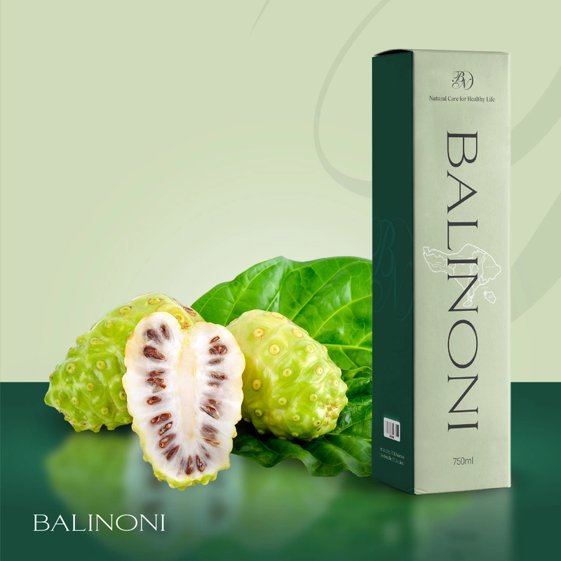 Product image SERAMBI BOTANI - Jus Mengkudu Sari Buah Mengkudu Noni juice - Bali Noni 750ml Bali Noni