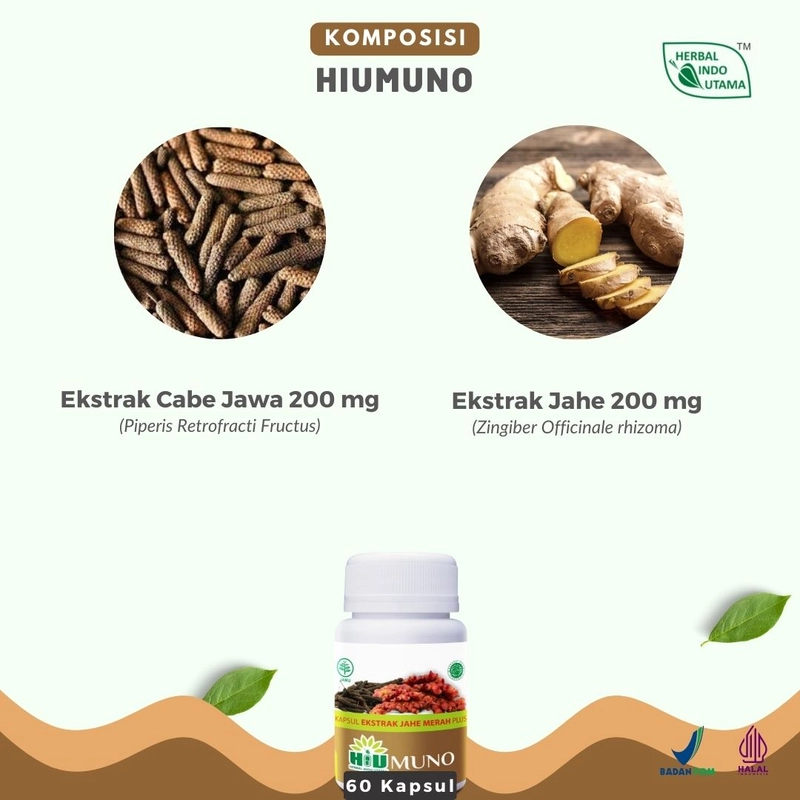 Product image Herbal Indo Utama - HIUMUNO Mengobati penyakit hernia 60 Kapsul 60 Kapsul Kapsul Serbuk