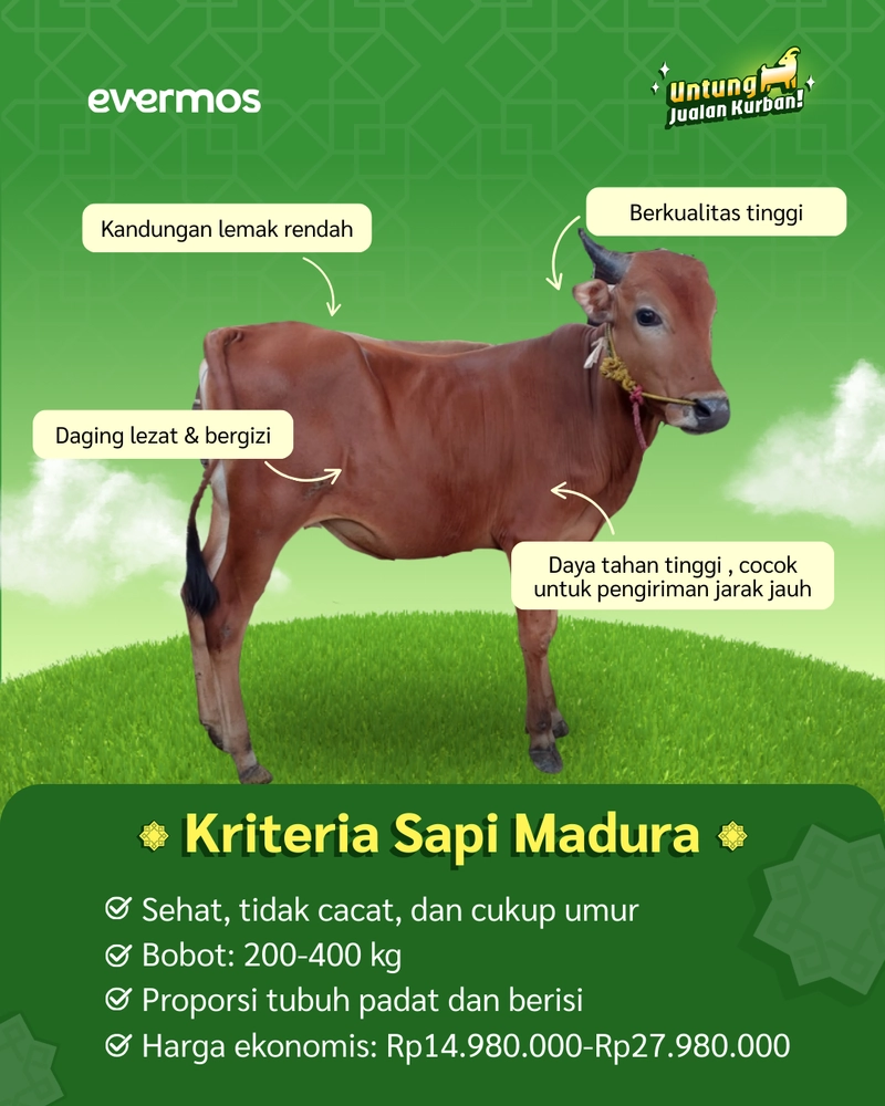 Product image Makna Qurban - [Jawa] Qurban Antar Sapi Madura Regular 2025 [+-200 KG] 200 all variant