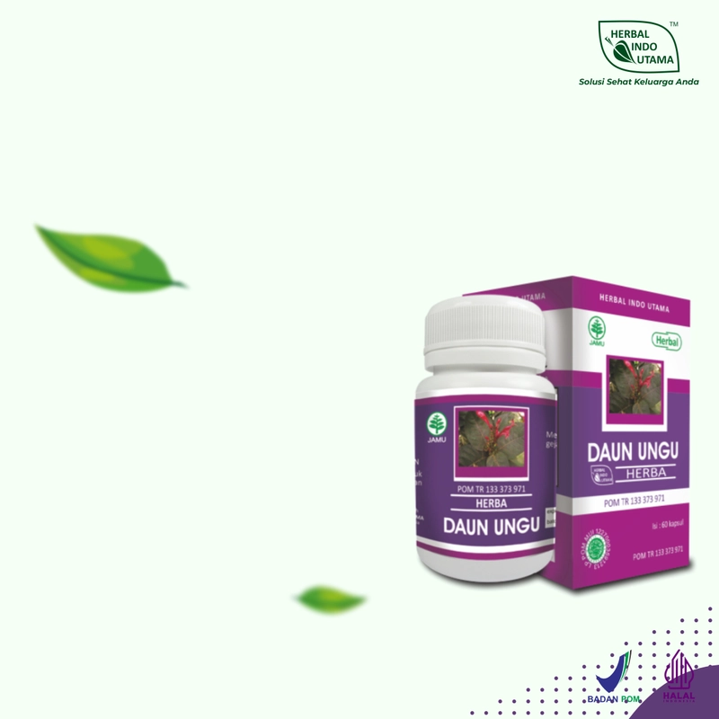 Product image Herbal Indo Utama - DAUN UNGU Obat Wasir Ambeien Herbal Indo Utama isi 60 Kaps 1 Botol 60 Kapsul DAUN UNGU