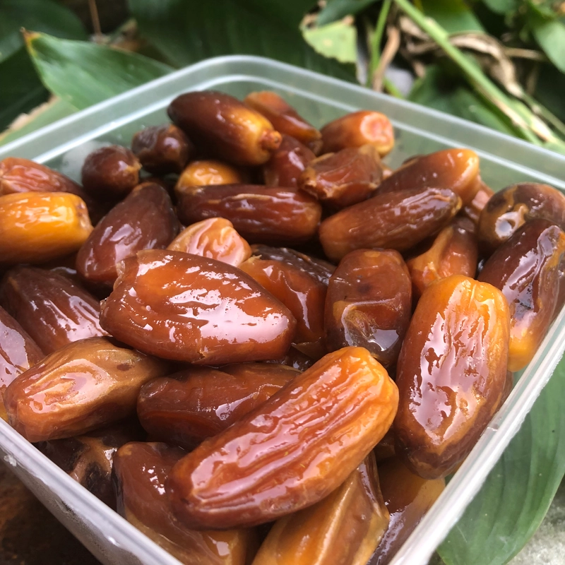 Kurma Tunisia Madu 500g Manis