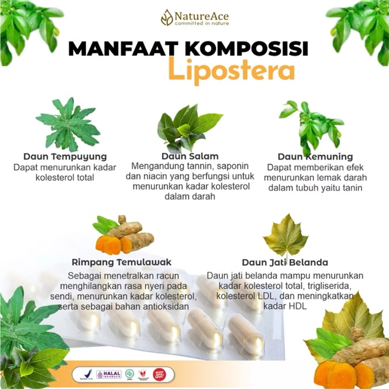 Product image Nature Ace - Lipostera 30 Kapsul