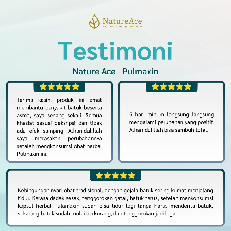 Product image Nature Ace - Pulmaxin 20 Kapsul