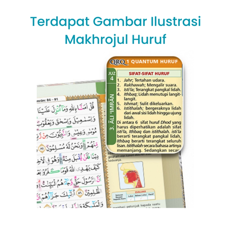 Product image Cordoba - Cordoba - Al Quran Belajar Tahsin Super Mudah Metode QRQ A5 Quantum Reading Quran A5 Random