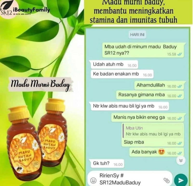 Product image SR12 Madu Hutan Baduy Mengatasi Asam Urat Rematik Anemia Osteoporosis Batu Ginjal Meningkatkan Imun 300gr Madu Baduy