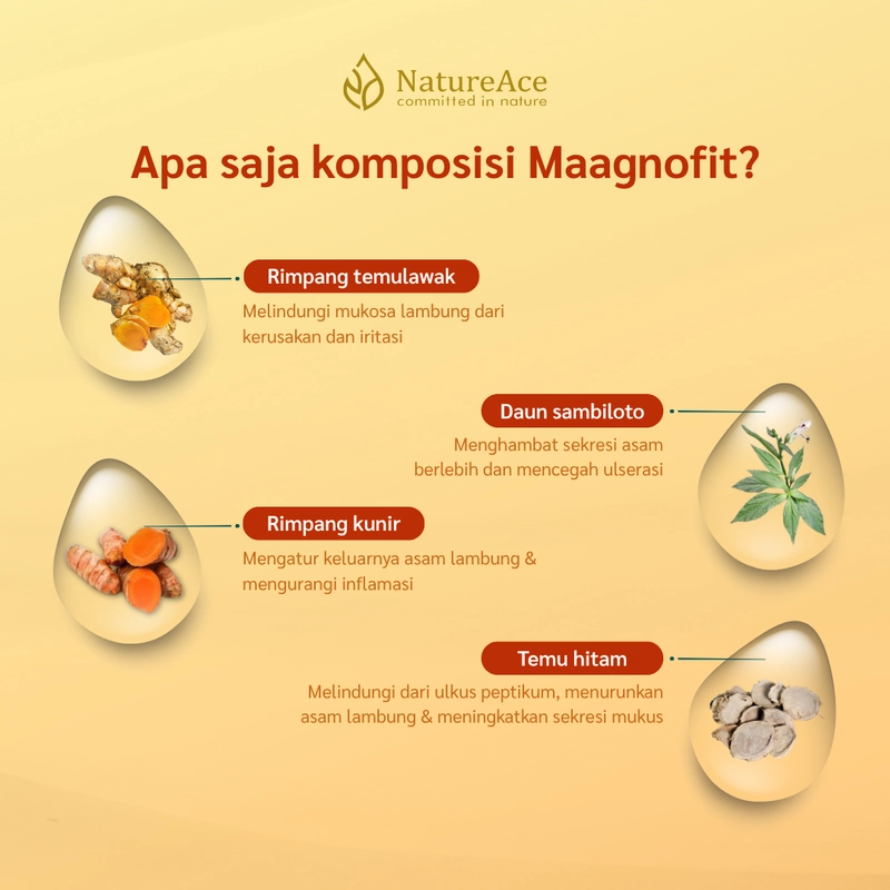 Product image Nature Ace - Maagnofit 20 Kapsul