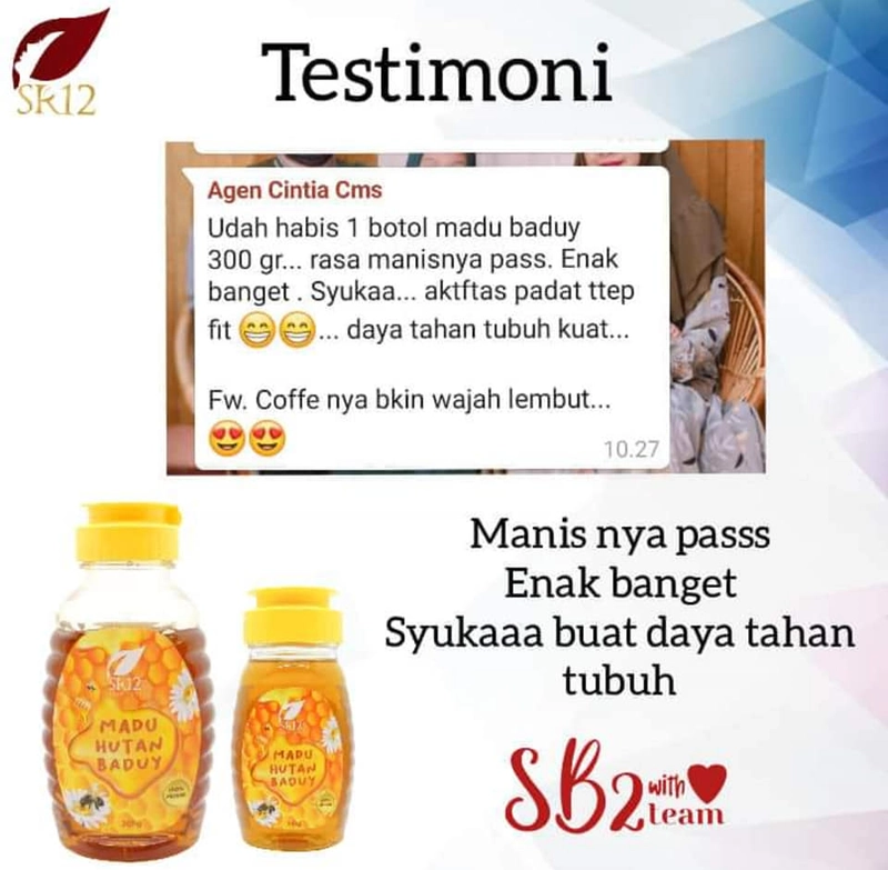 Product image SR12 Madu Hutan Baduy Mengatasi Asam Urat Rematik Anemia Osteoporosis Batu Ginjal Meningkatkan Imun 300gr Madu Baduy
