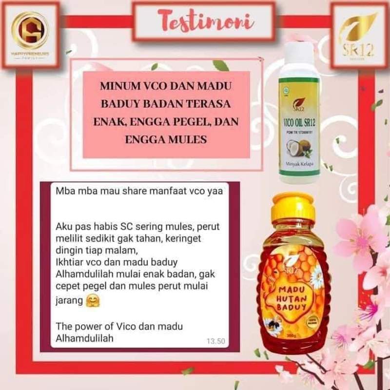 Product image SR12 Madu Hutan Baduy Mengatasi Asam Urat Rematik Anemia Osteoporosis Batu Ginjal Meningkatkan Imun 300gr Madu Baduy