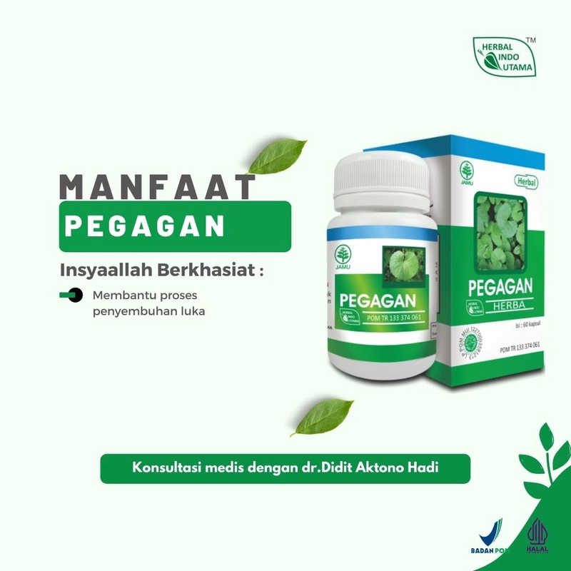 Product image Herbal Indo Utama - PEGAGAN Melancarkan Peredaran Darah 60 Kaps 60 Kapsul Kapsul Serbuk
