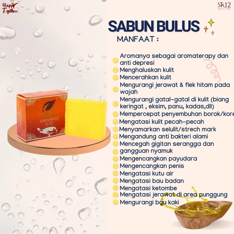 Product image Sabun Bulus SR12 Sabun Wajah Panu Kadas Kurap Gatal Gatal Menyamarkan Strech Mark 60 gr Sabun Bulus