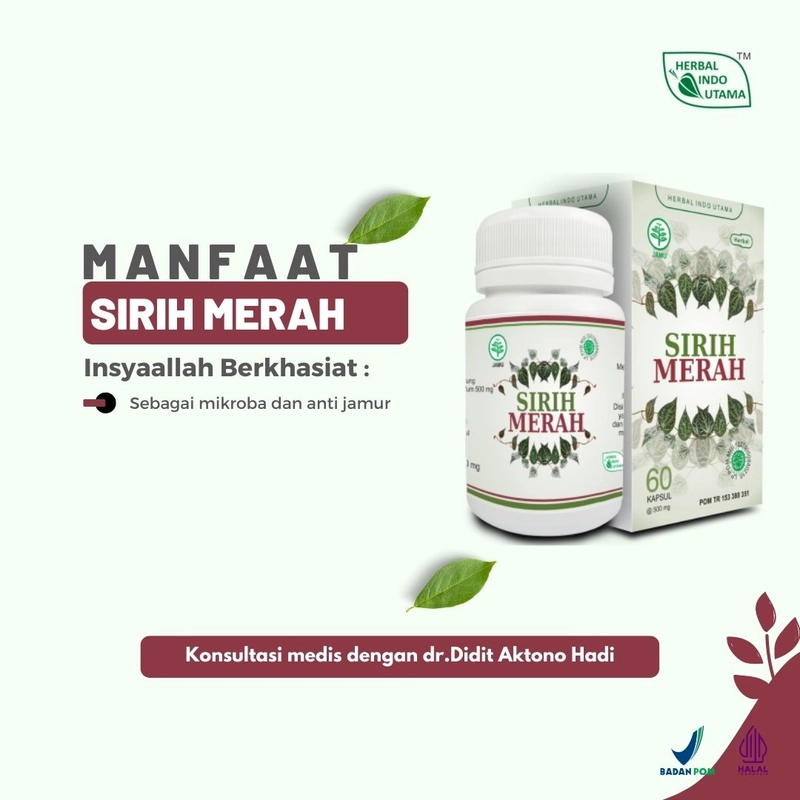 Product image Herbal Indo Utama - Kapsul SIRIH MERAH Obat Radang Sendi Prostat Liver 60 Kapsul 60 Kapsul Kapsul Serbuk