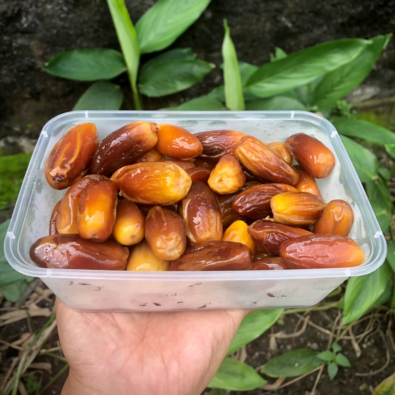 Product image Kurma Tunisia Madu 500g Manis