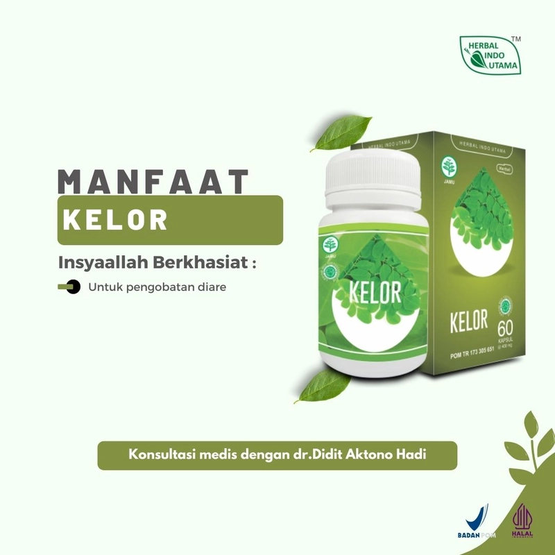 Product image Herbal Indo Utama - KAPSUL DAUN KELOR Bantu Turunkan Kolesterol isi 60 Kaps 60 Kapsul Kapsul Serbuk
