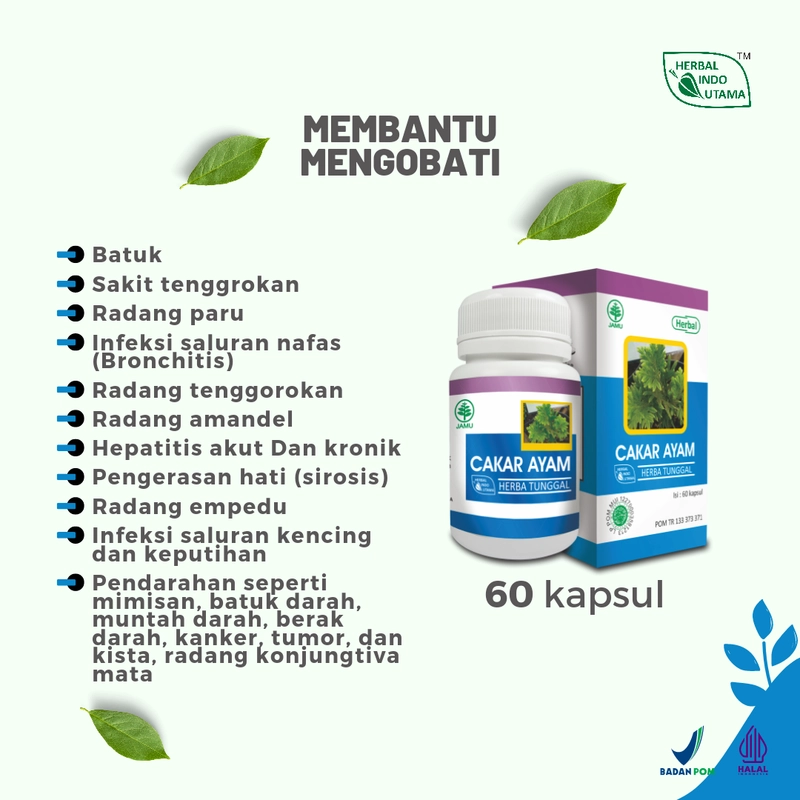 Product image Herbal Indo Utama - CAKAR AYAM Mengobati radang paru dan infeksi saluran pernafasan 60 kapsul 60 Kapsul Madu Anak