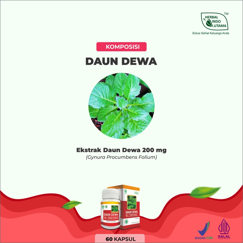 Product image Herbal Indo Utama - Kapsul Daun Dewa Obat TB Paru Tumor Kanker Atasi Darah Tinggi isi 60 Kaps 1 Botol 60 Kapsul DAUN DEWA