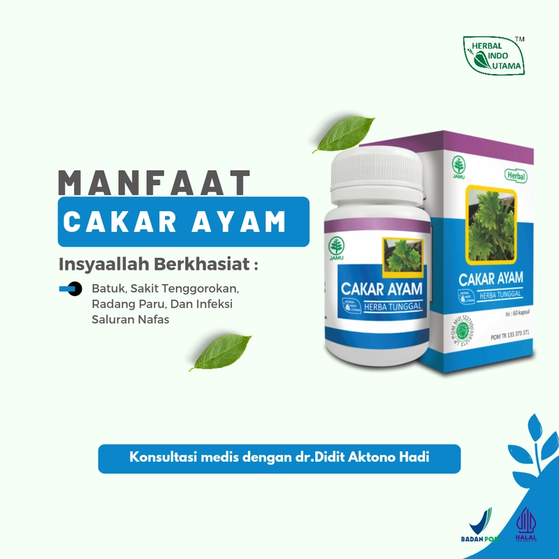 Product image Herbal Indo Utama - CAKAR AYAM Mengobati radang paru dan infeksi saluran pernafasan 60 kapsul 60 Kapsul Madu Anak