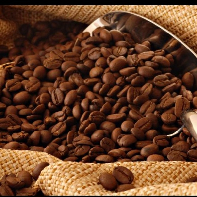 Product image Sumatra Highlands - Kopi Luwak Liar Wild Civet Coffee Biji/Bubuk Beans/Ground 200 GR 300gr kopi