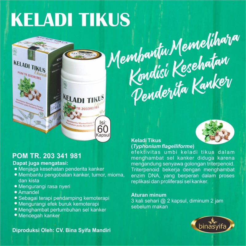 Product image KELADI TIKUS Kapsul Obat Kanker Herbal Benjolan Kista Miom Tiroid Pereda Nyeri Binasyifa Herbal 60 kapsul Herbal