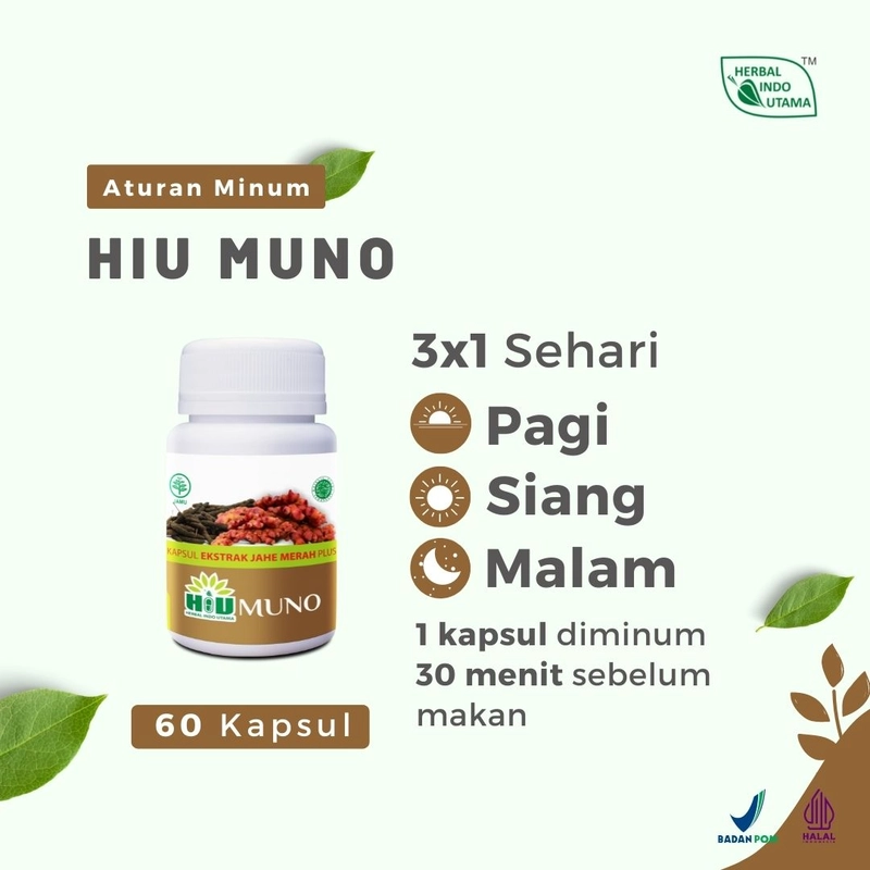 Product image Herbal Indo Utama - HIUMUNO Mengobati penyakit hernia 60 Kapsul 60 Kapsul Kapsul Serbuk