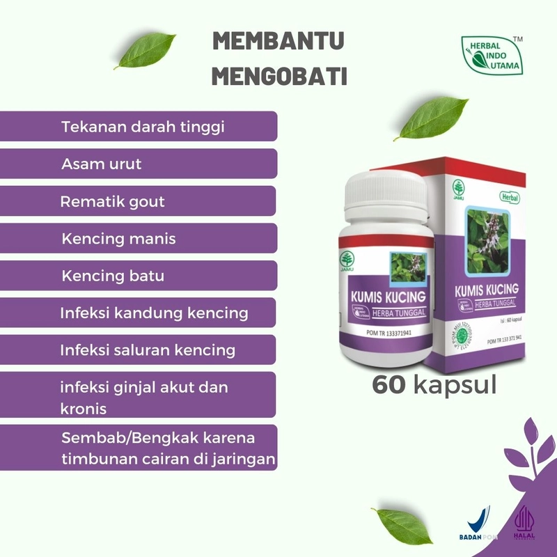 Product image Herbal Indo Utama - Kapsul Kumis Kucing Obat Tekanan Darah Tinggi Hipertensi 60 Kapsul 60 Kapsul Kapsul Serbuk