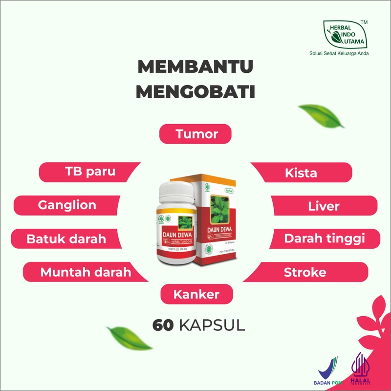 Product image Herbal Indo Utama - Kapsul Daun Dewa Obat TB Paru Tumor Kanker Atasi Darah Tinggi isi 60 Kaps 1 Botol 60 Kapsul DAUN DEWA