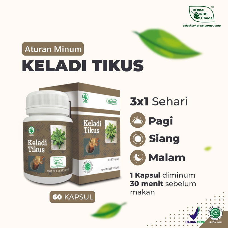 Product image Herbal Indo Utama - Kapsul Keladi Tikus Obat Kanker Herbal Alami 60 Kapsul 60 Kapsul Kapsul Serbuk