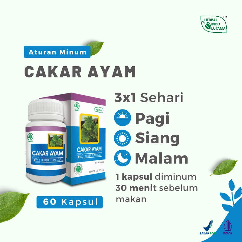 Product image Herbal Indo Utama - CAKAR AYAM Mengobati radang paru dan infeksi saluran pernafasan 60 kapsul 60 Kapsul Madu Anak