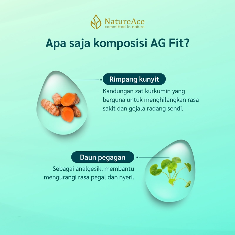 Product image Nature Ace - AG Fit 30 Kapsul