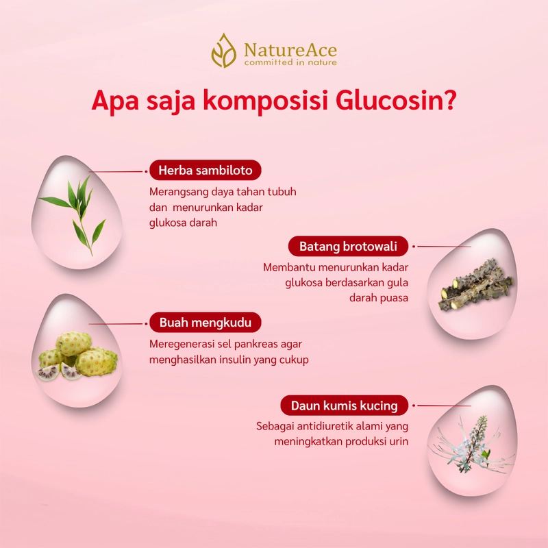 Product image Nature Ace - Glocosin 20 Kapsul