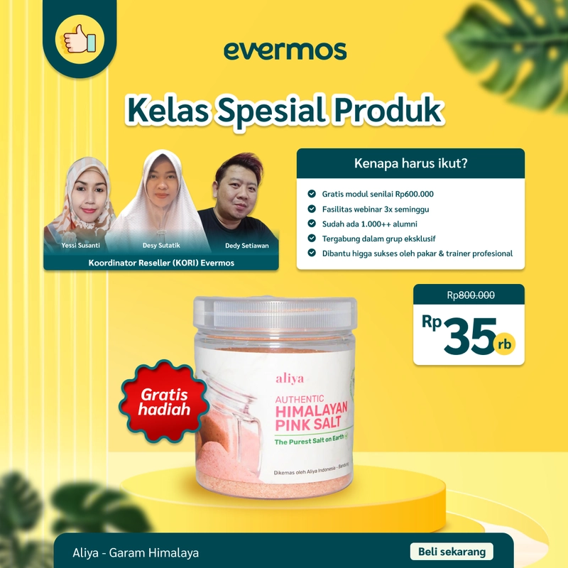 Product image Aliya - Kelas Spesial Produk Free Garam Himalaya - Aliya 500gr Garam Himalaya