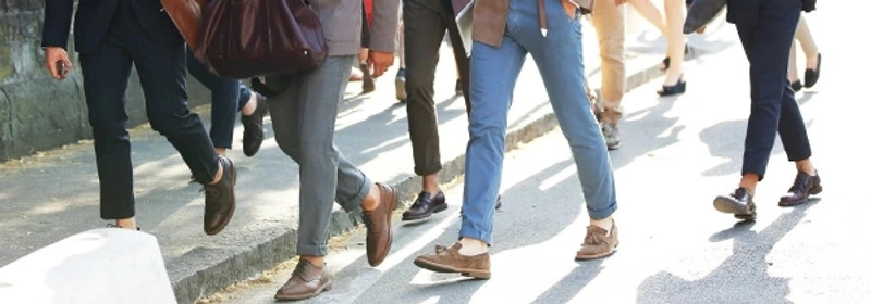 allneedsho.81d's cover image