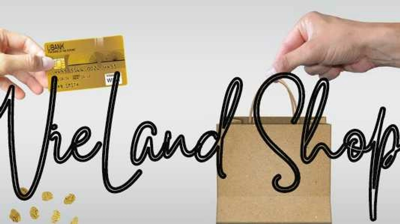 ivi.wuland.ce9's cover image